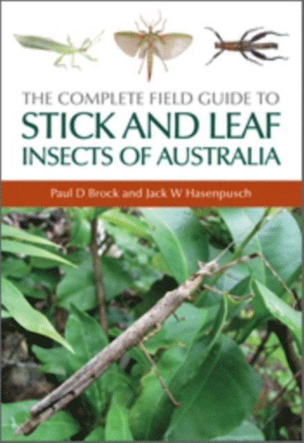 Jack W Hasenpusch, Paul D Brock - Complete Field Guide to Stick and Leaf Insects of Australia, E-bok