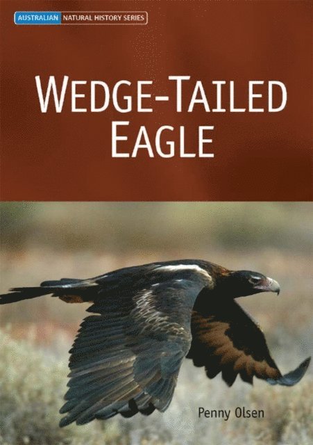 Penny Olsen - Wedge-tailed Eagle, E-bok