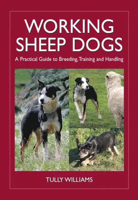 Tully Williams - Working Sheep Dogs, E-bok. Tillgänglighet: Lägg i varukorg