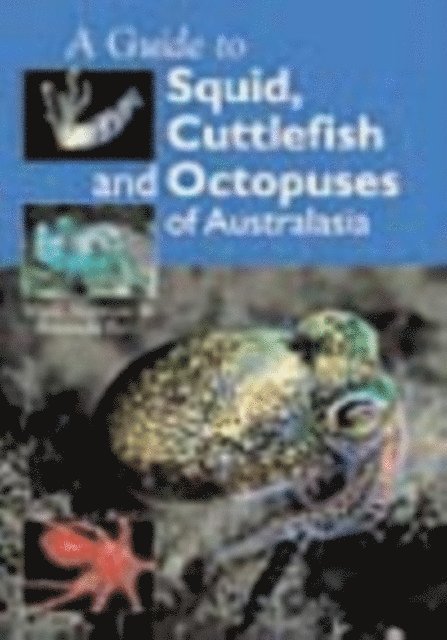 Amanda Reid, Mark Norman - Guide to Squid, Cuttlefish and Octopuses of Australasia, E-bok