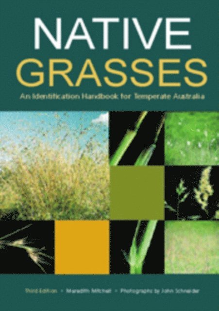 Native Grasses