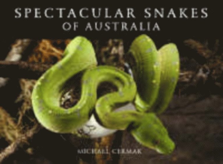 Michael Cermak - Spectacular Snakes of Australia, E-bok