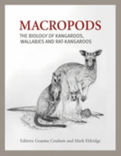 Mark Eldridge, Graeme Coulson - Macropods, E-bok. Tillgänglighet: Lägg i varukorg