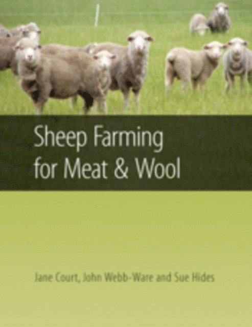John Webb-Ware, Sue Hides, Jane Court - Sheep Farming for Meat and Wool, E-bok. Tillgänglighet: Lägg i varukorg