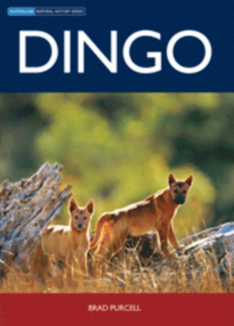 Brad Purcell - Dingo, E-bok