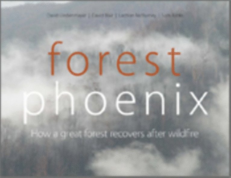 Sam Banks, Lachlan McBurney, David Blair, David Lindenmayer - Forest Phoenix, E-bok