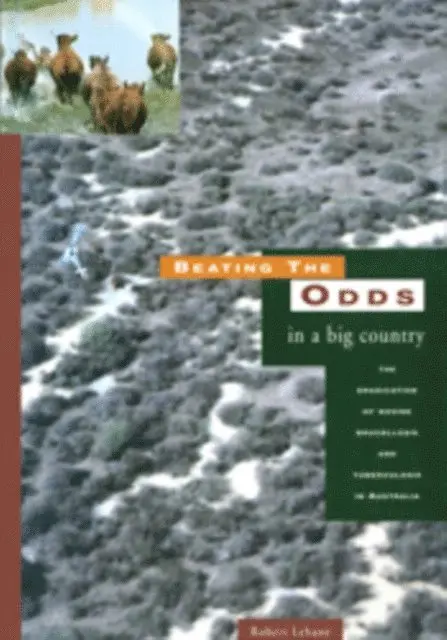 Robert Lehane - Beating the Odds in a Big Country, E-bok. Tillgänglighet: Lägg i varukorg