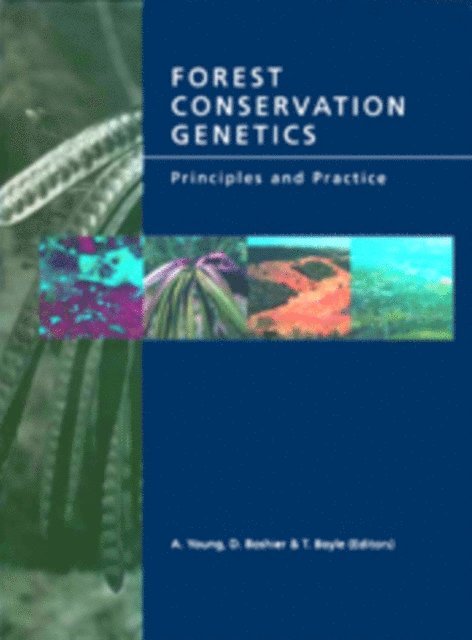 Timothy Boyle, David Boshier, Andrew Young - Forest Conservation Genetics, E-bok
