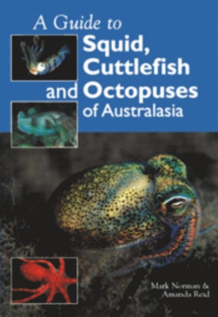 Amanda Reid, Mark Norman - Guide to Squid, Cuttlefish and Octopuses of Australasia, E-bok