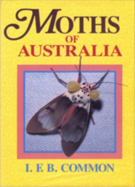 IFB Common - Moths of Australia, E-bok. Tillgänglighet: Lägg i varukorg