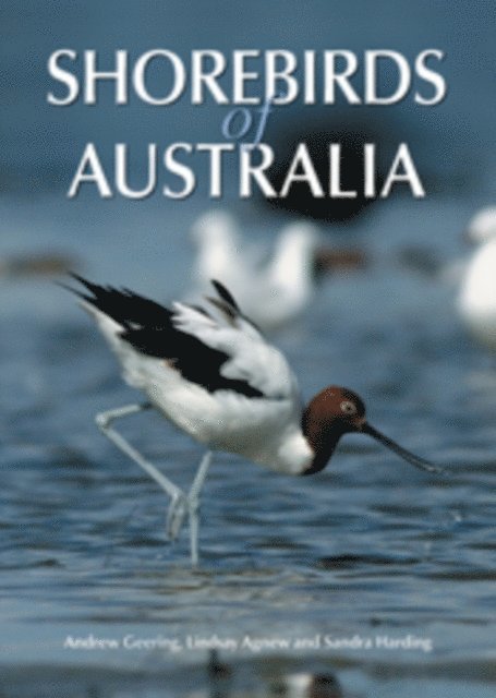 Sandra Harding, Lindsay Agnew, Andrew Geering - Shorebirds of Australia, E-bok