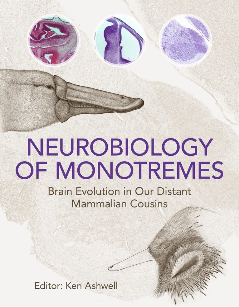 Ken Ashwell - Neurobiology of Monotremes, Inbunden