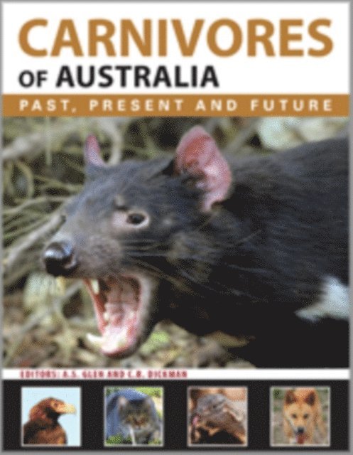 Christopher R. Dickman, Alistair S. Glen - Carnivores of Australia, E-bok