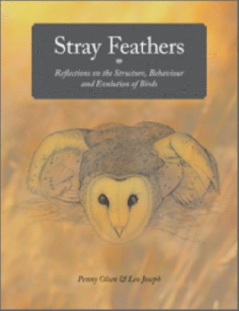 Leo Joseph, Penny Olsen AM - Stray Feathers, E-bok