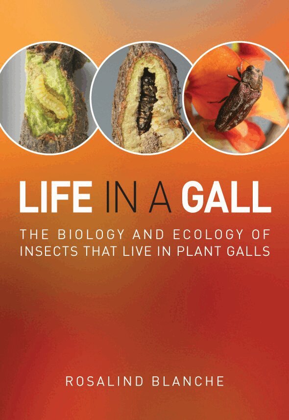 Rosalind Blanche - Life in a Gall, Häftad