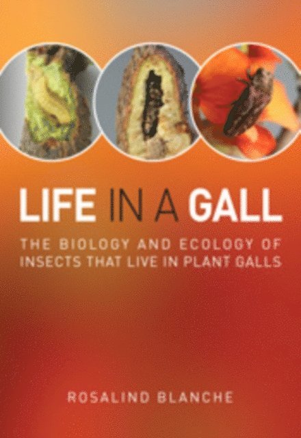 Rosalind Blanche - Life in a Gall, E-bok