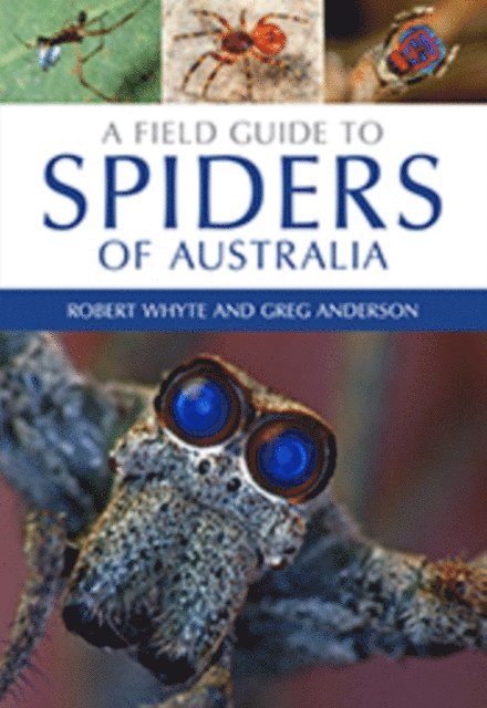 Greg Anderson, Robert Whyte - Field Guide to Spiders of Australia, E-bok