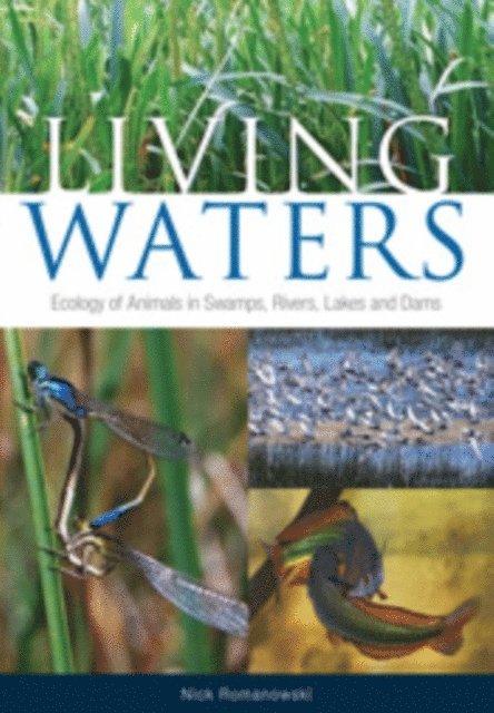 Nick Romanowski - Living Waters, E-bok