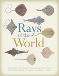 Rays of the World