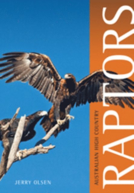 Jerry Olsen - Australian High Country Raptors, E-bok