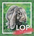 Lop Felt Worried