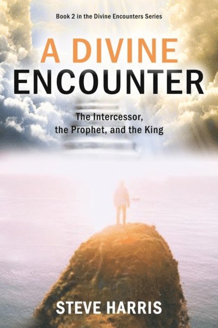 Steve Harris - Divine Encounter, E-bok