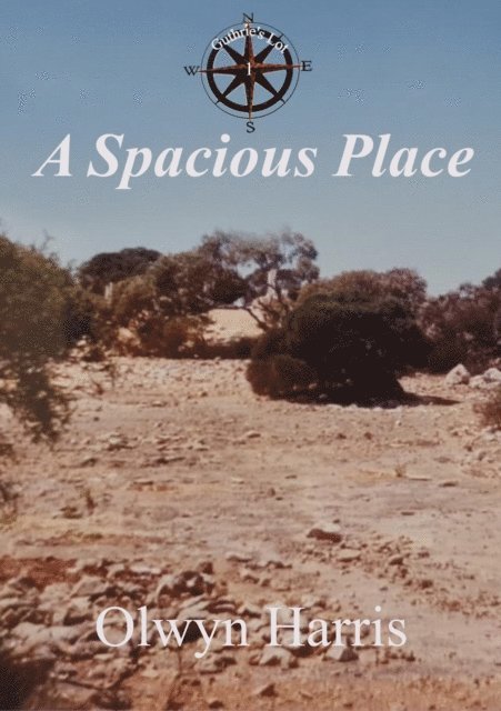 Olwyn Harris - Spacious Place, E-bok