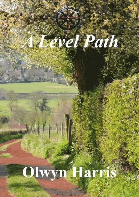 Olwyn Harris - Level Path, E-bok