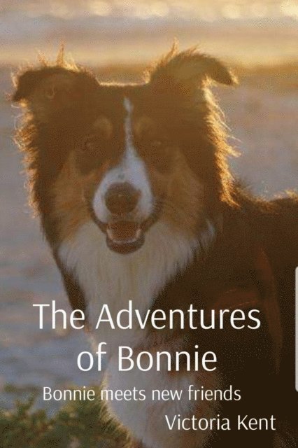 Victoria Kent - Adventures of Bonnie, E-bok