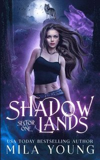 Shadowlands Sector, One