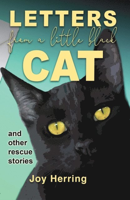 Letters from a Little Black Cat