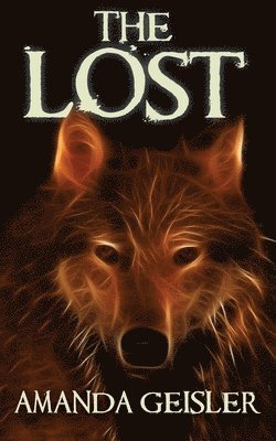 Amanda Geisler - Lost, Häftad