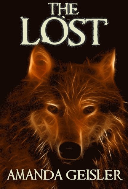 Amanda Geisler - Lost, E-bok