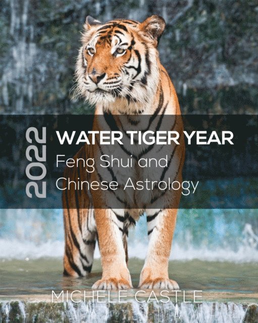 MICHELE CASTLE - 2022 WATER TIGER YEAR, E-bok