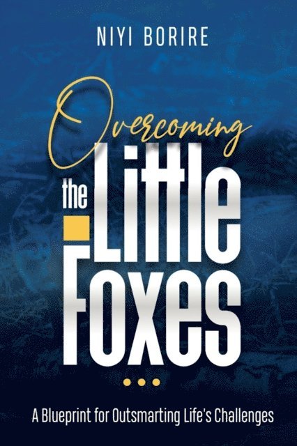 NIYI BORIRE - OVERCOMING THE LITTLE FOXES, E-bok