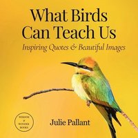 What Birds Can Teach Us