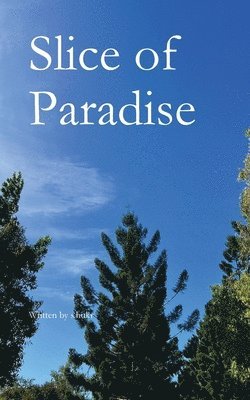 S Hukr - Slice of Paradise, Häftad