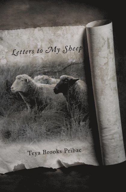 Teya Brooks Pribac - Letters To My Sheep, E-bok
