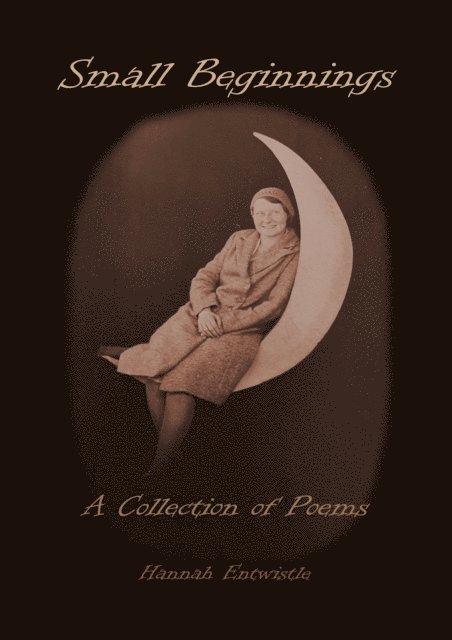 Hannah Entwistle - Small Beginnings, E-bok