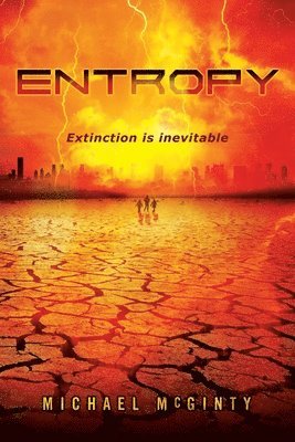 Michael McGinty - Entropy, Häftad