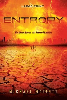 Michael McGinty - Entropy, Häftad
