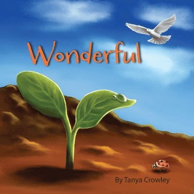 Tanya Crowley - Wonderful, Häftad. Tillgänglighet: Lägg i varukorg