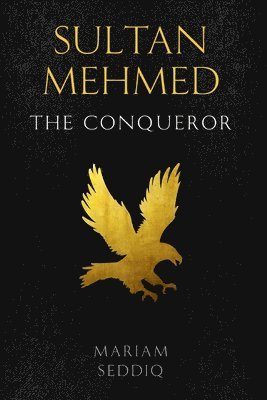 Mariam Seddiq - Sultan Mehmed, Häftad