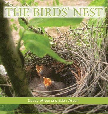 Debby Wilson - Birds' Nest, Inbunden. Tillgänglighet: Lägg i varukorg