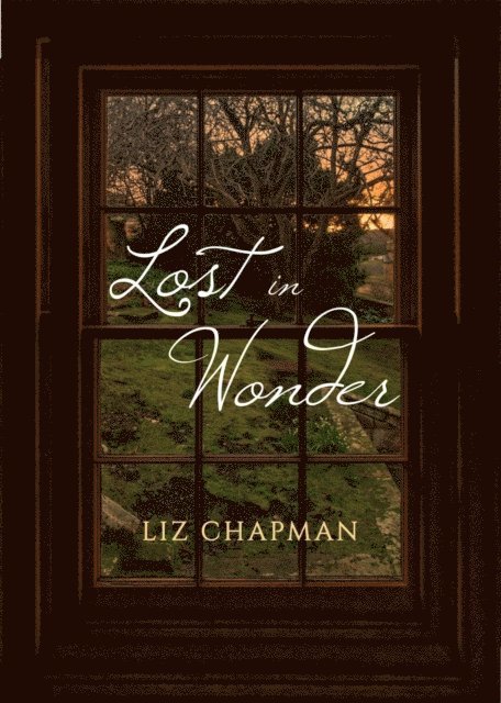 Liz Chapman - Lost in Wonder, E-bok
