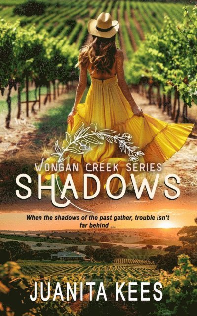 Juanita Kees - Shadows: A Small Town Romantic Suspense, E-bok