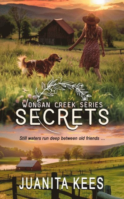 Juanita Kees - Secrets: A Small Town Romantic Suspense, E-bok