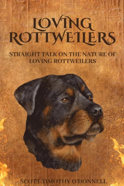 Loving Rottweilers