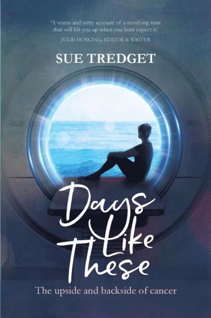 Sue Tredget - Days Like These, E-bok. Tillgänglighet: Lägg i varukorg