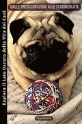 Dalle Preoccupazioni alle Scodinzolate